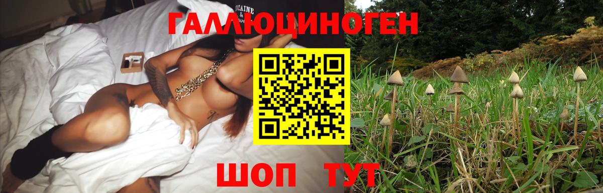 Псилоцибиновые грибы Cubensis Карпинск